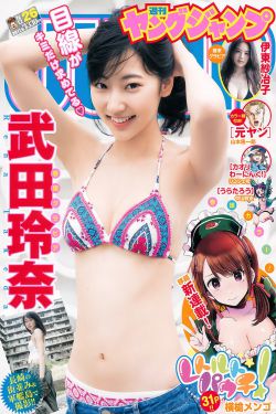 小核数码